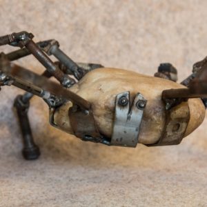 Ce crabe moyen fait partie de mes sculptures animalières